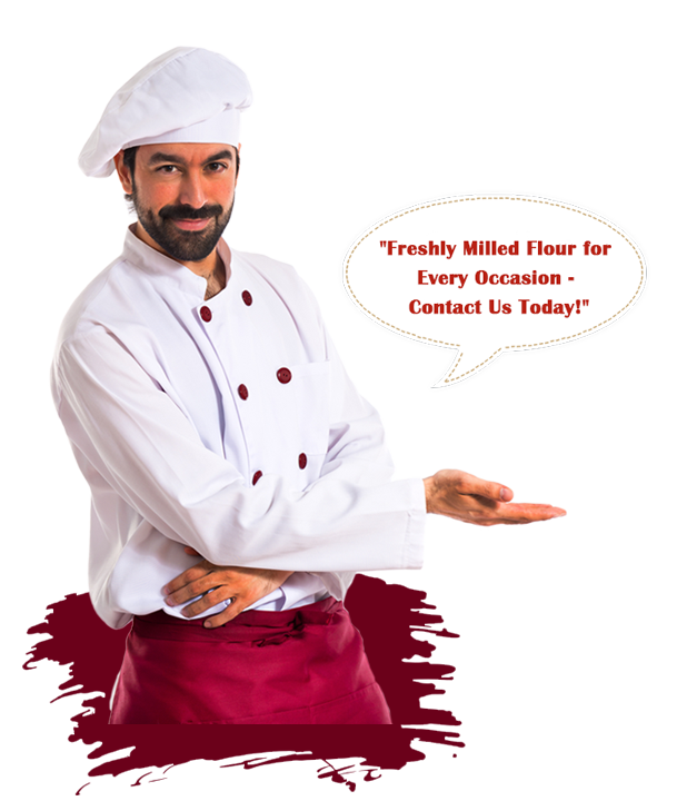 Organic Gram Flour Wholesalers in Tamilnadu